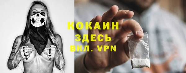 первитин Новодвинск