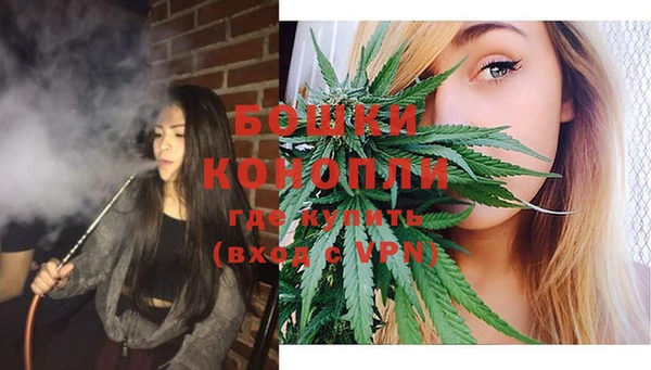гашик Бежецк