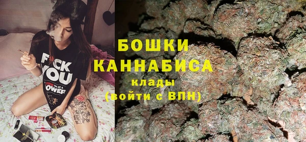 первитин Новодвинск