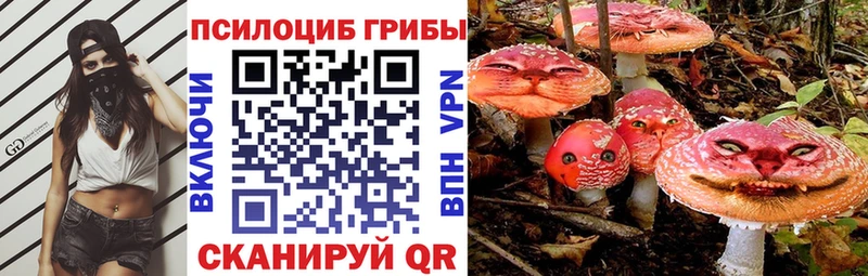 Галлюциногенные грибы мухоморы Шлиссельбург